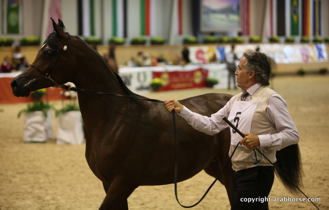 2011 All Nations Cup - Aachen, Germany 