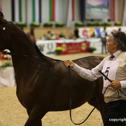 2011 All Nations Cup - Aachen, Germany 