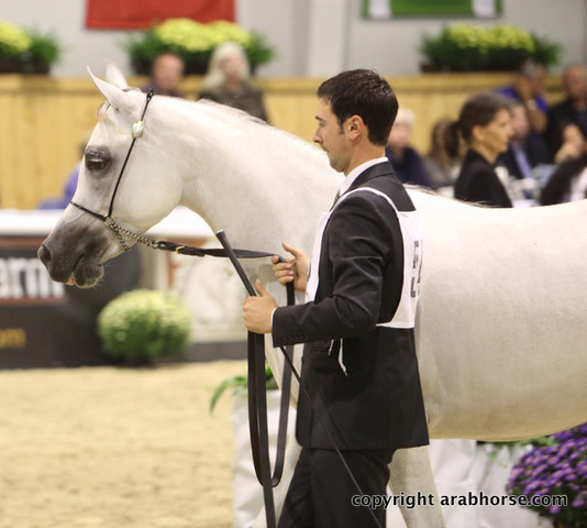 2011 All Nations Cup - Aachen, Germany 