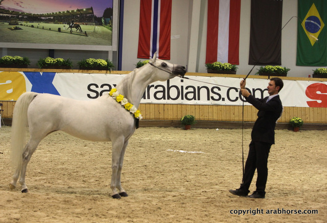 2011 All Nations Cup - Aachen, Germany 