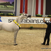2011 All Nations Cup - Aachen, Germany 