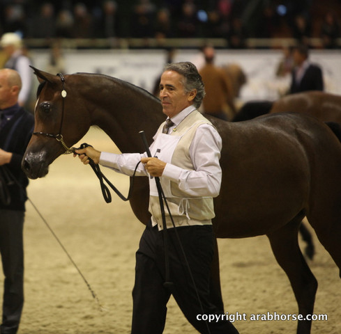 2011 All Nations Cup - Aachen, Germany 