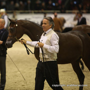 2011 All Nations Cup - Aachen, Germany 