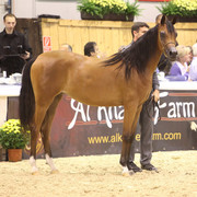 2011 All Nations Cup - Aachen, Germany 