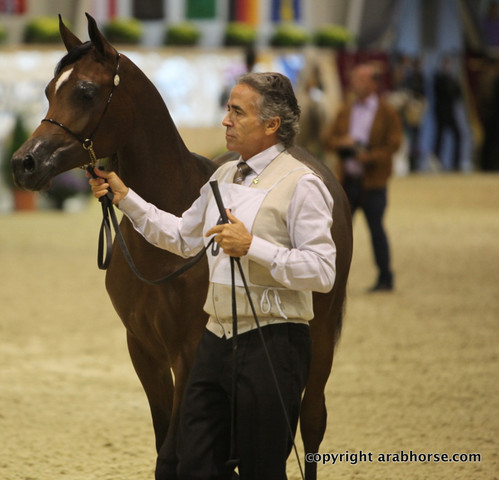 2011 All Nations Cup - Aachen, Germany 