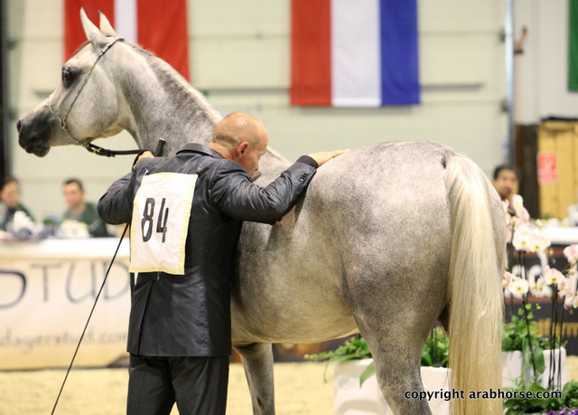2011 All Nations Cup - Aachen, Germany 