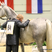 2011 All Nations Cup - Aachen, Germany 