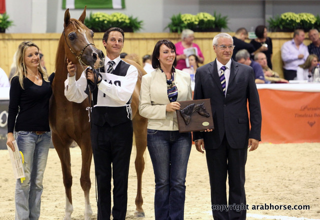 2011 All Nations Cup - Aachen, Germany 