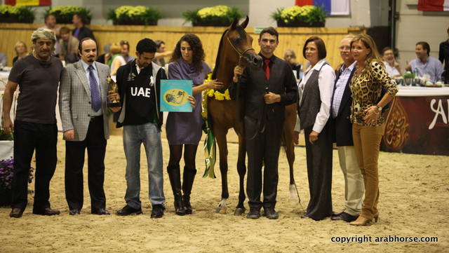 2011 All Nations Cup - Aachen, Germany 