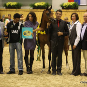 2011 All Nations Cup - Aachen, Germany 