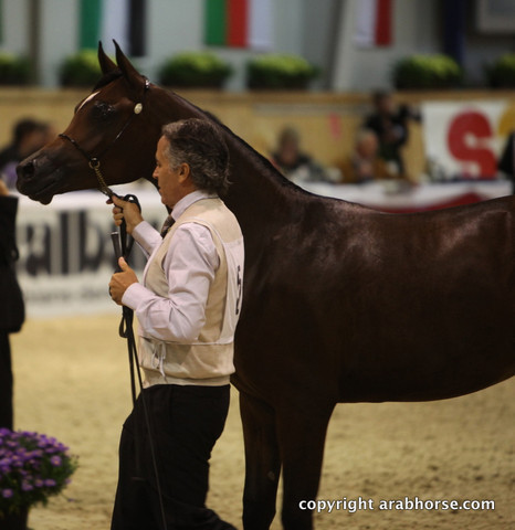 2011 All Nations Cup - Aachen, Germany 