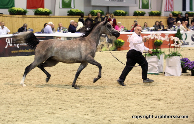 2011 All Nations Cup - Aachen, Germany 