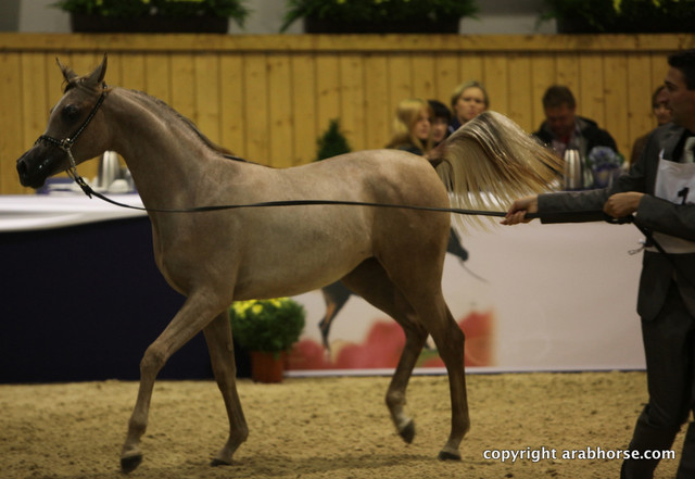 2011 All Nations Cup - Aachen, Germany 