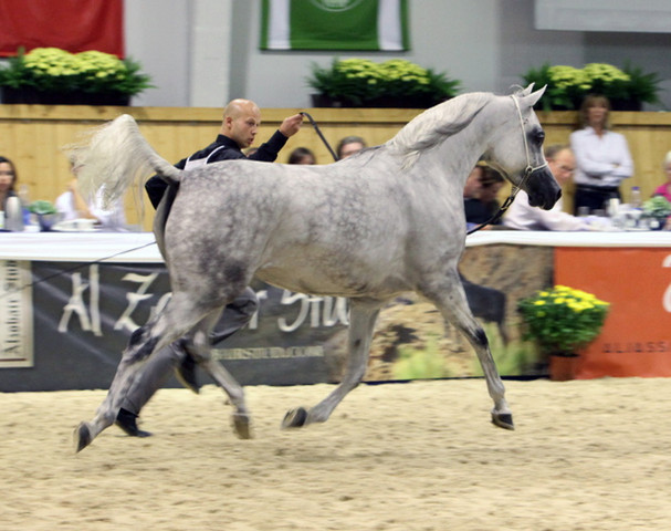 2011 All Nations Cup - Aachen, Germany 