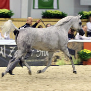 2011 All Nations Cup - Aachen, Germany 
