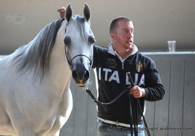 2011 All Nations Cup - Aachen, Germany 