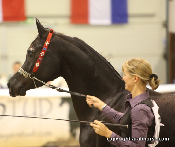 2011 All Nations Cup - Aachen, Germany 