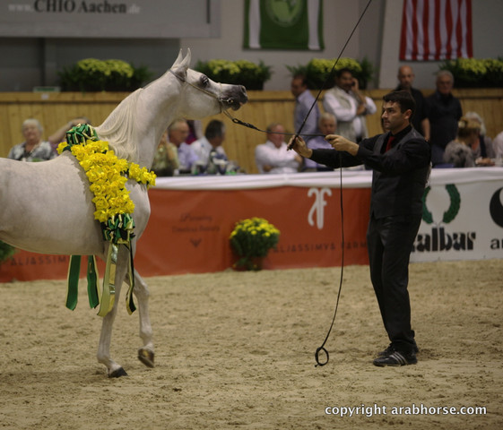 2011 All Nations Cup - Aachen, Germany 