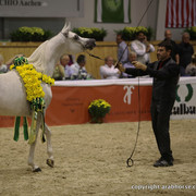2011 All Nations Cup - Aachen, Germany 