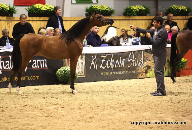 2011 All Nations Cup - Aachen, Germany 