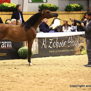 2011 All Nations Cup - Aachen, Germany 