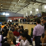 2011 All Nations Cup - Aachen, Germany 