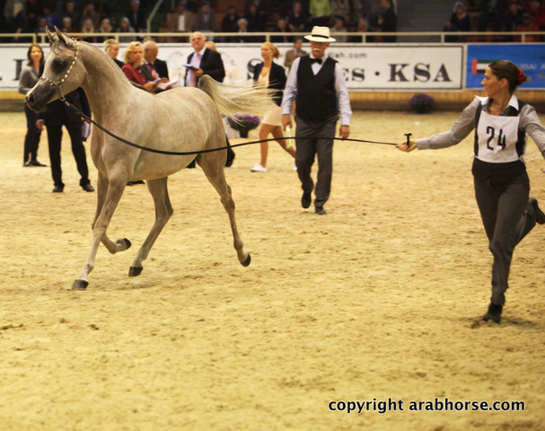 2011 All Nations Cup - Aachen, Germany 