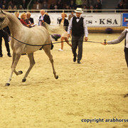 2011 All Nations Cup - Aachen, Germany 