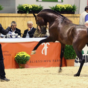 2011 All Nations Cup - Aachen, Germany 