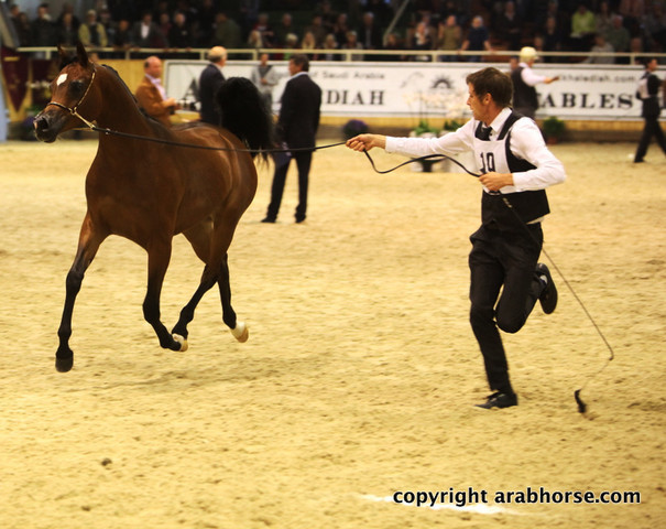 2011 All Nations Cup - Aachen, Germany 