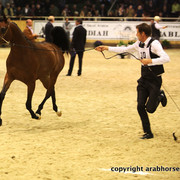 2011 All Nations Cup - Aachen, Germany 