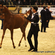 2011 All Nations Cup - Aachen, Germany 