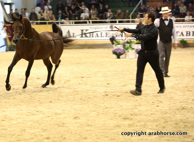 2011 All Nations Cup - Aachen, Germany 
