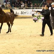 2011 All Nations Cup - Aachen, Germany 