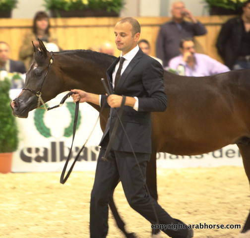 2011 All Nations Cup - Aachen, Germany 