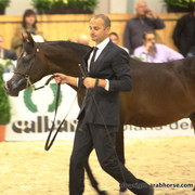 2011 All Nations Cup - Aachen, Germany 