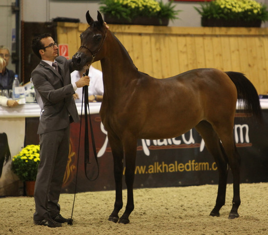 2011 All Nations Cup - Aachen, Germany 