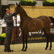 2011 All Nations Cup - Aachen, Germany 