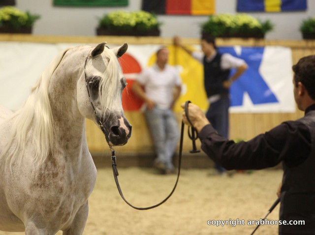 2011 All Nations Cup - Aachen, Germany 