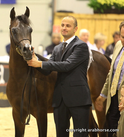 2011 All Nations Cup - Aachen, Germany 