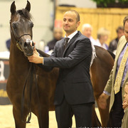 2011 All Nations Cup - Aachen, Germany 