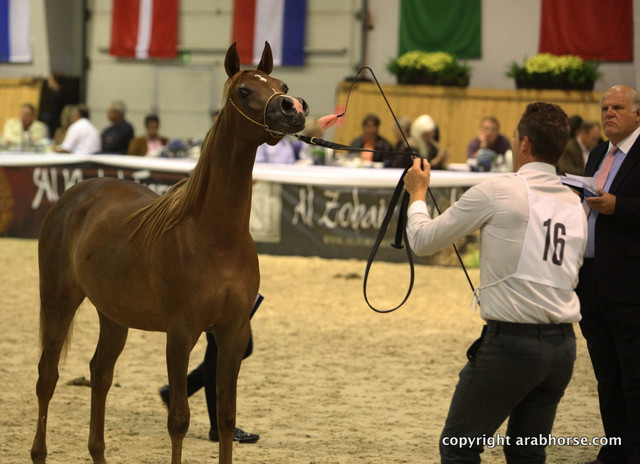 2011 All Nations Cup - Aachen, Germany 
