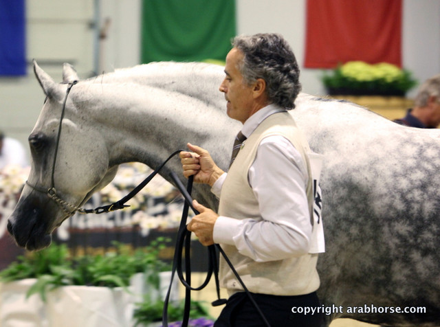 2011 All Nations Cup - Aachen, Germany 
