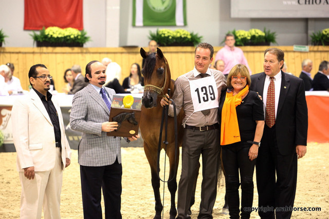2011 All Nations Cup - Aachen, Germany 