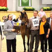 2011 All Nations Cup - Aachen, Germany 