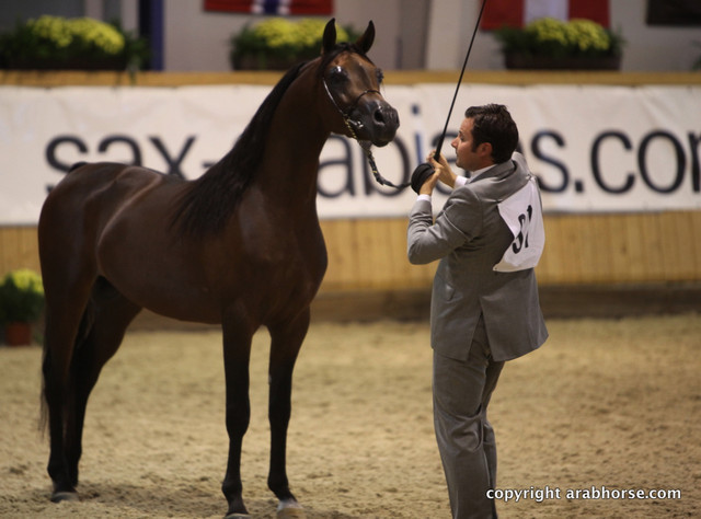 2011 All Nations Cup - Aachen, Germany 