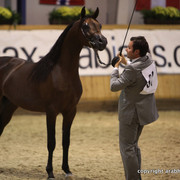 2011 All Nations Cup - Aachen, Germany 