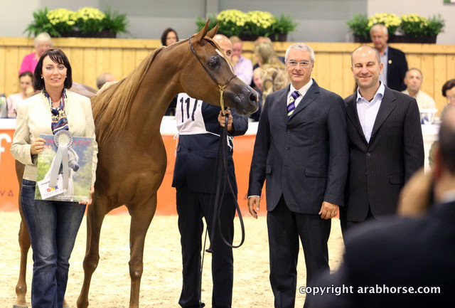 2011 All Nations Cup - Aachen, Germany 