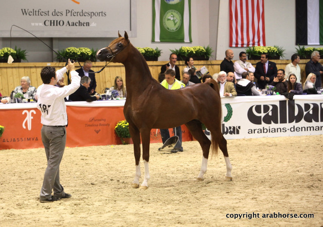 2011 All Nations Cup - Aachen, Germany 