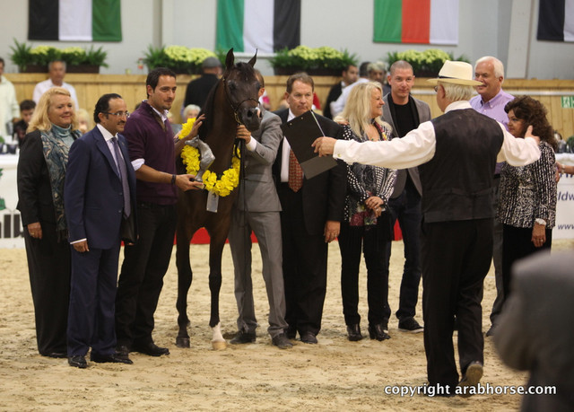 2011 All Nations Cup - Aachen, Germany 